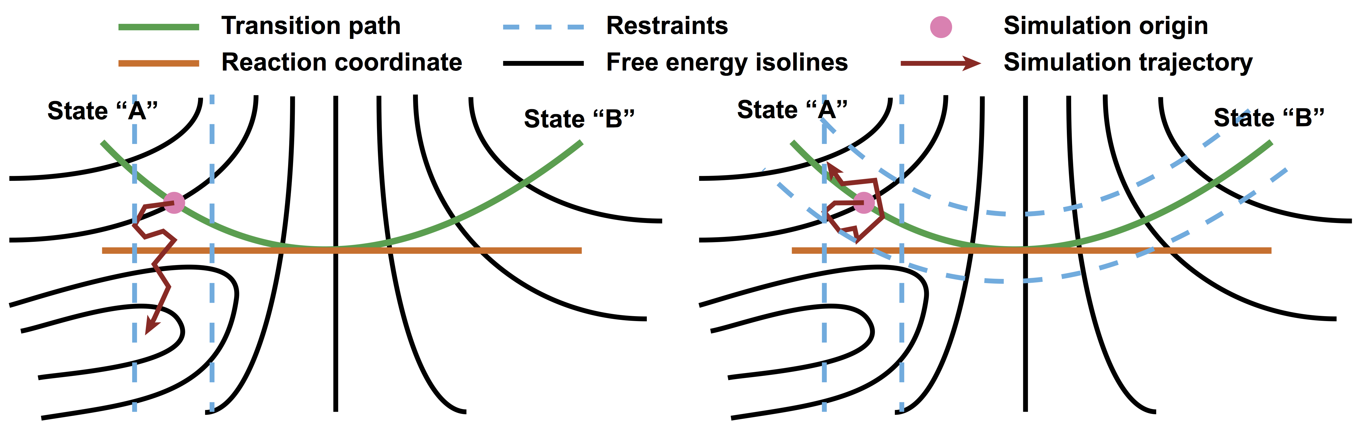 _images/pathway_restrained_umbrella_sampling.png